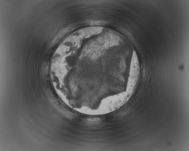 X0000115720357200912241609