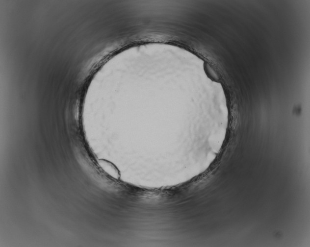 X0000115720358200912241609