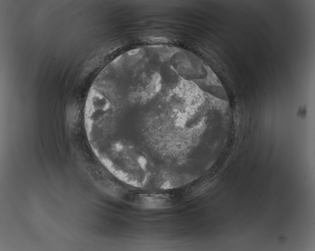 X0000115720359200912241609
