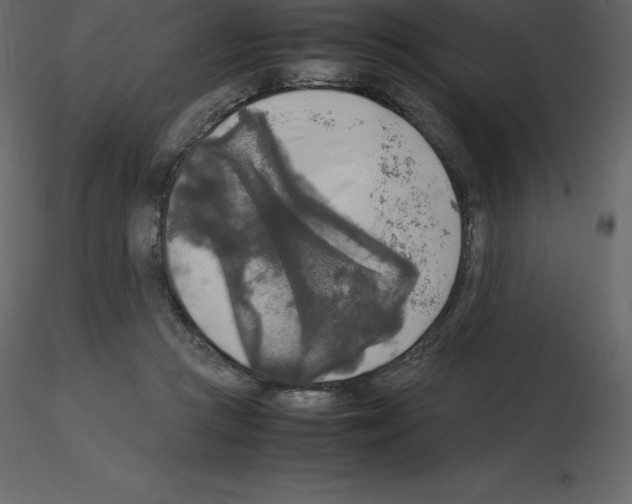 X0000115720361200912241610