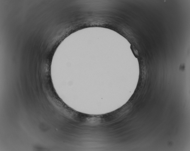 X0000115720362200912241610