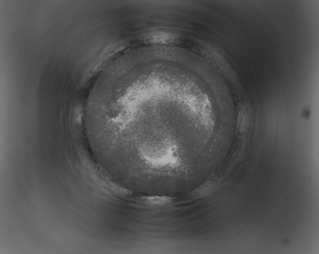 X0000115720363200912241610