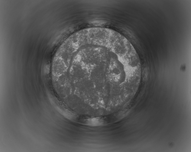 X0000115720365200912241610