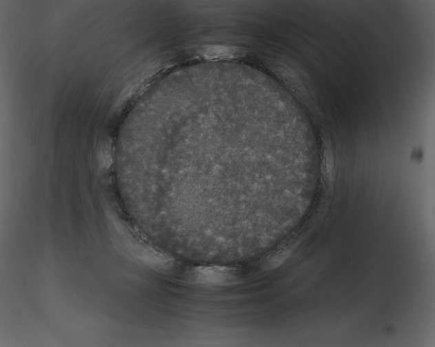 X0000115720367200912241610