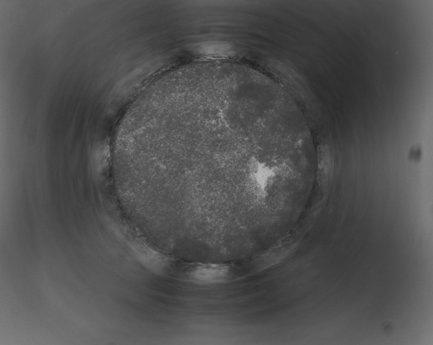 X0000115720369200912241610