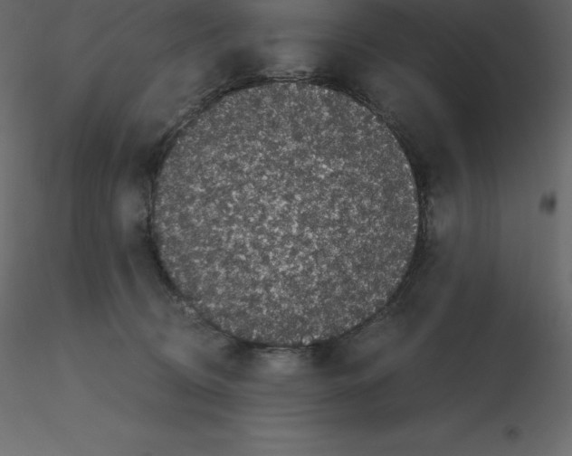 X0000115720370200912241610