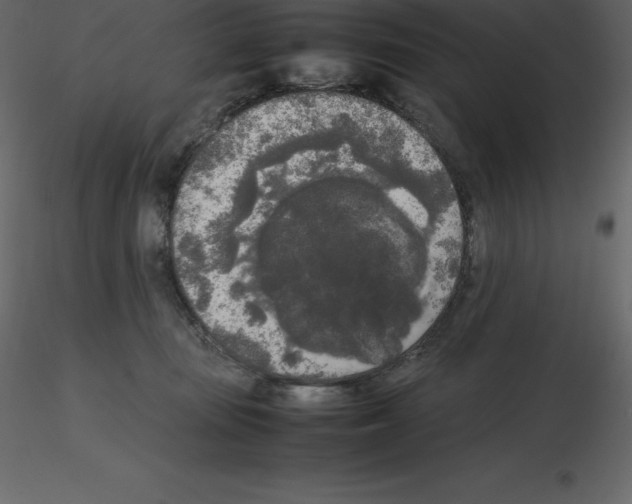 X0000115720371200912241610