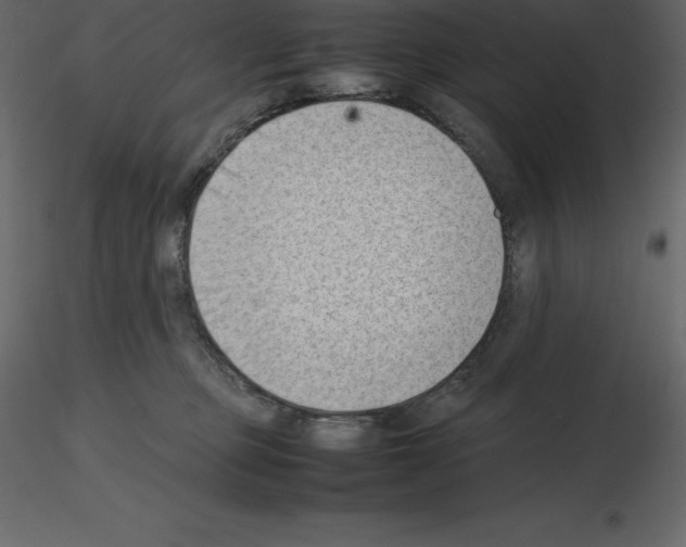 X0000115720373200912241610