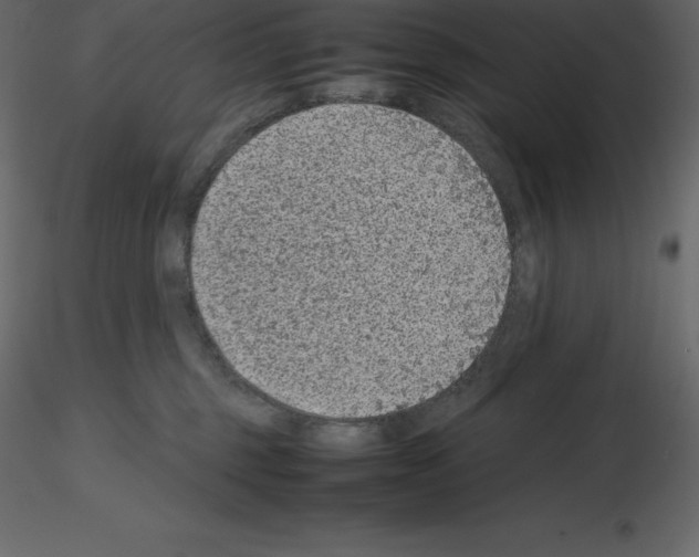 X0000115720375200912241610