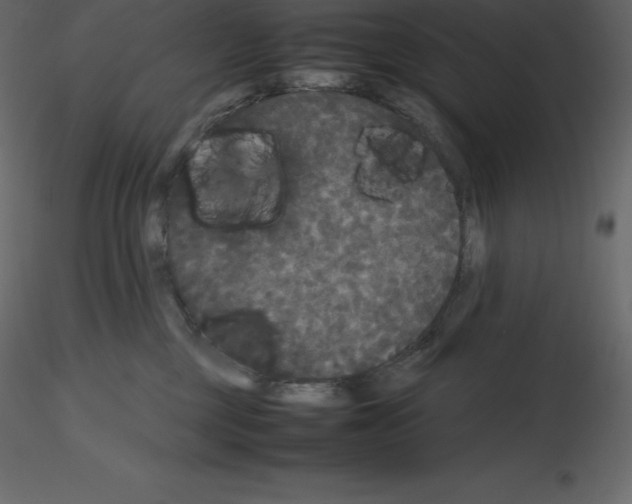 X0000115720377200912241610