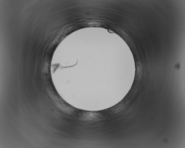 X0000115720379200912241610