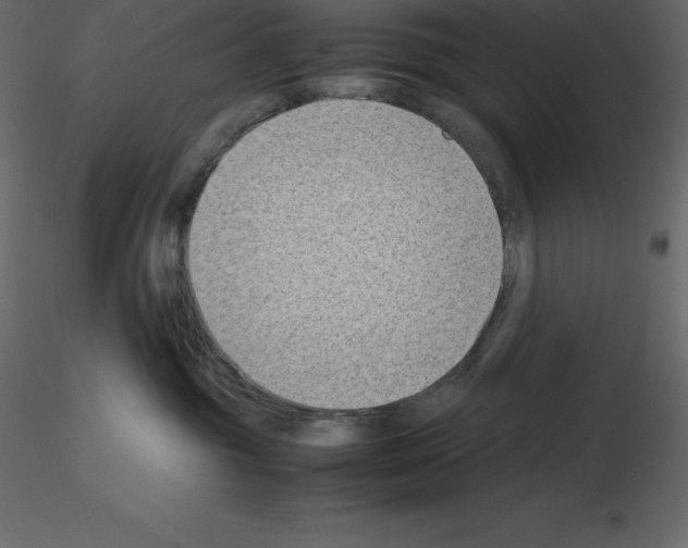 X0000115720381200912241610