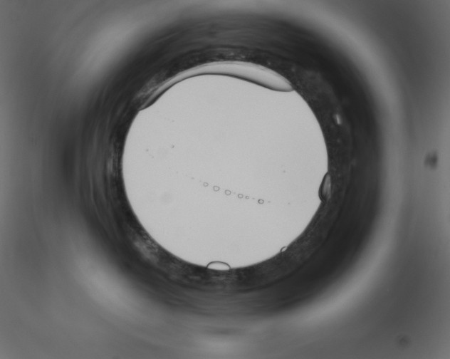 X0000115720382200912241610