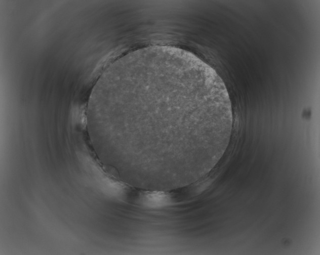 X0000115720383200912241610