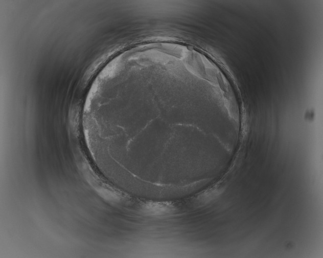 X0000115720386200912241609