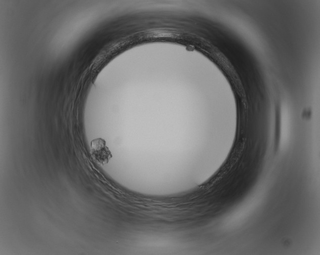 X0000115720387200912241609