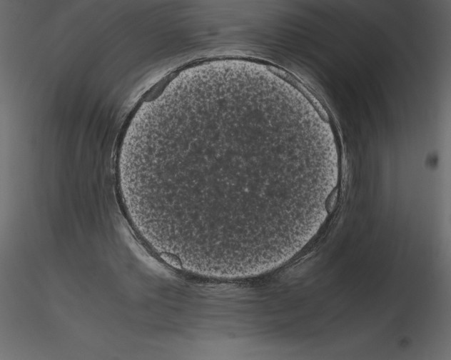 X0000115720389200912241609