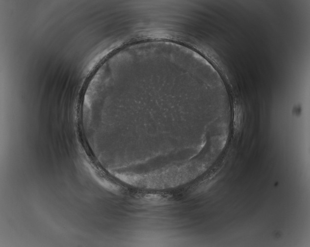 X0000115720390200912241609