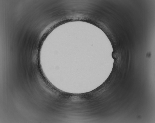 X0000115720392200912241609