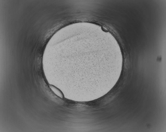 X0000115720393200912241609