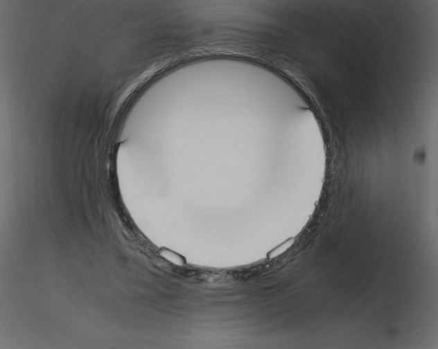 X0000115720395200912241609