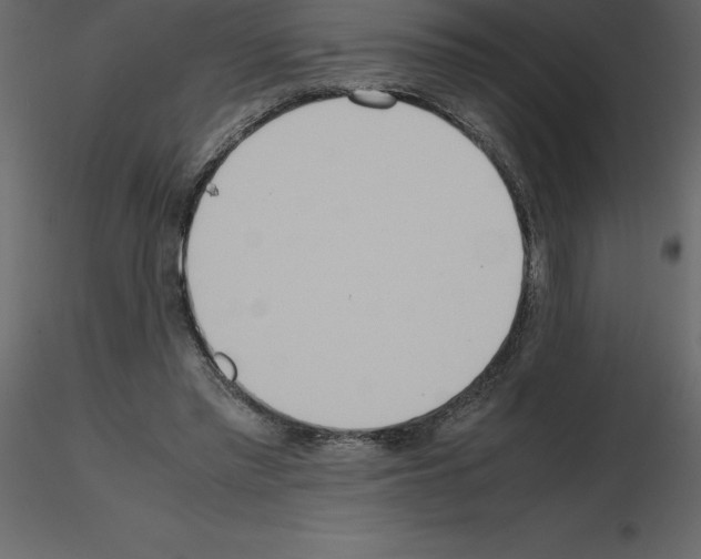 X0000115720397200912241609