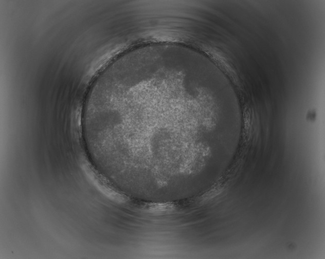 X0000115720398200912241609