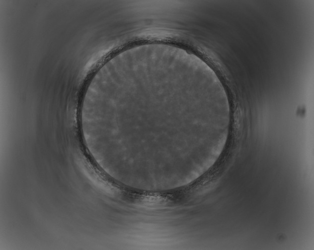X0000115720399200912241609