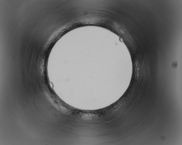 X0000115720400200912241609