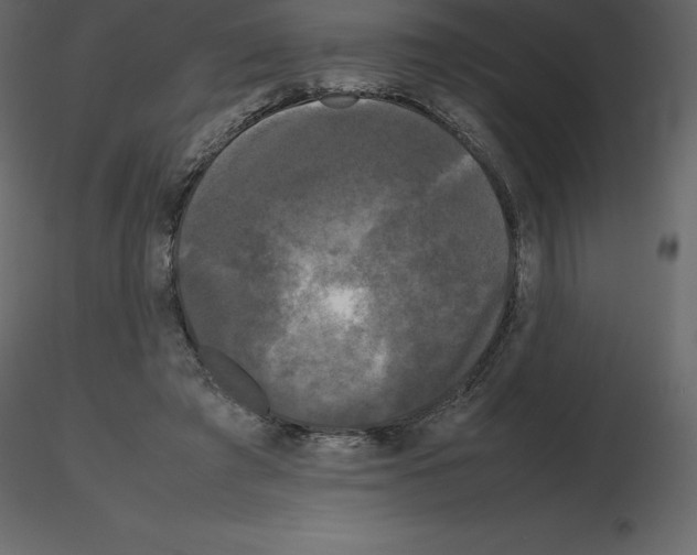 X0000115720401200912241609