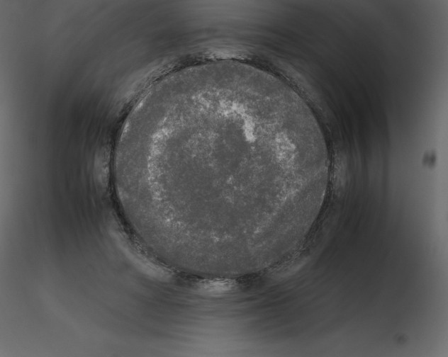 X0000115720402200912241609