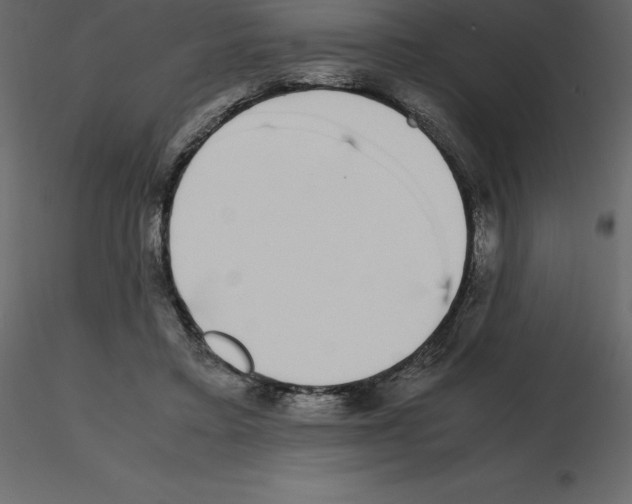 X0000115720403200912241609