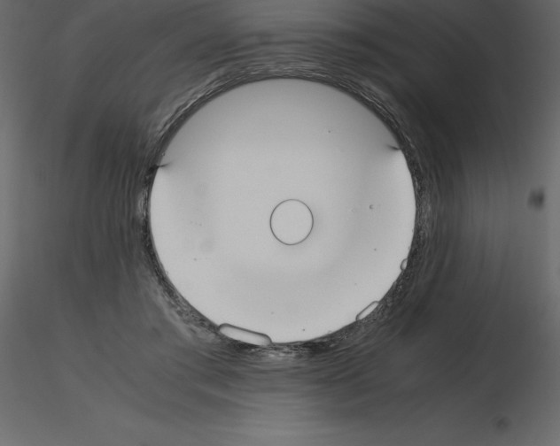 X0000115720405200912241609