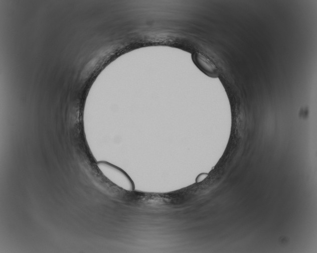 X0000115720407200912241609