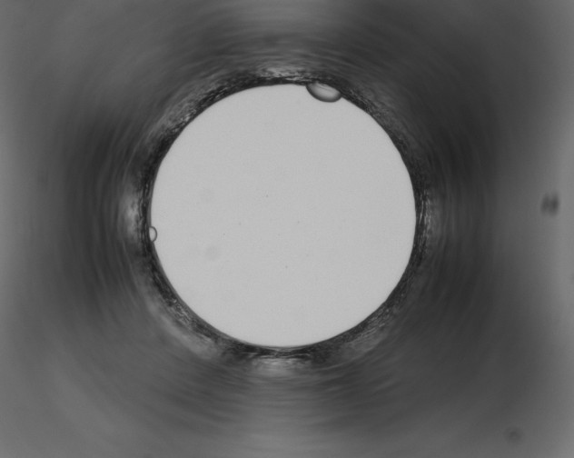 X0000115720408200912241609