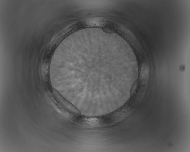 X0000115720409200912241609