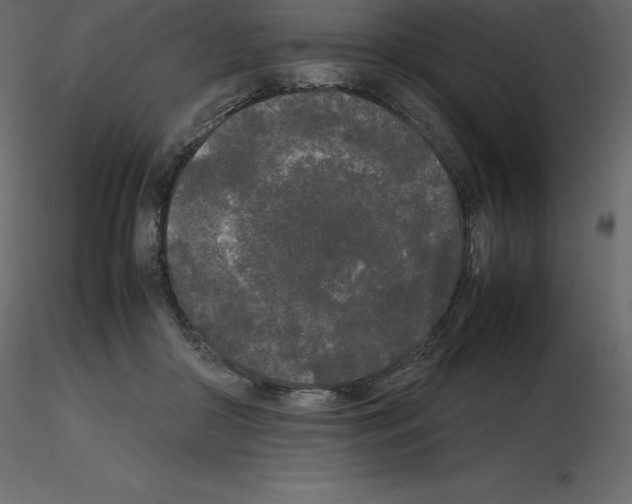 X0000115720410200912241609