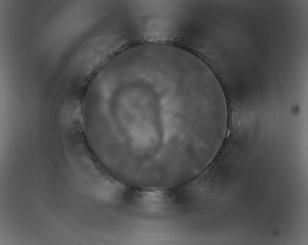X0000115720411200912241609