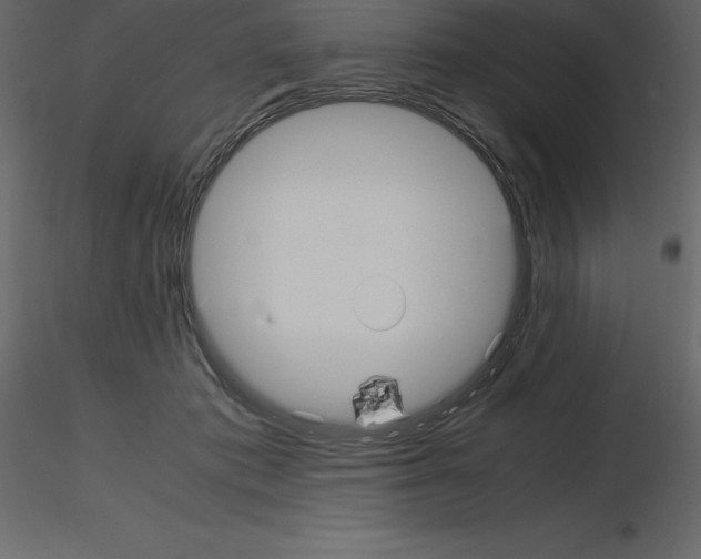 X0000115720413200912241609
