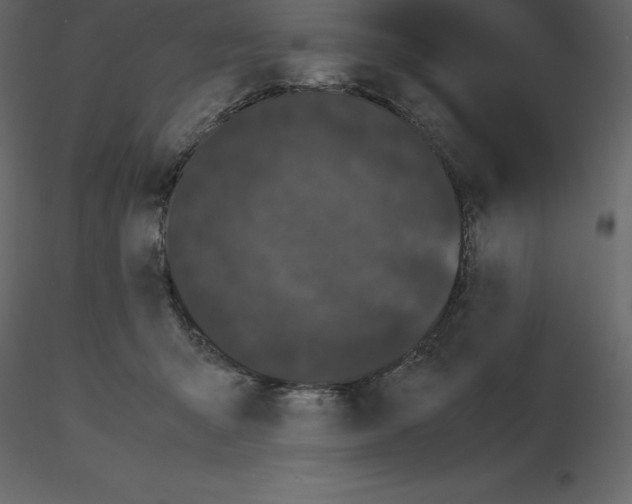 X0000115720415200912241609