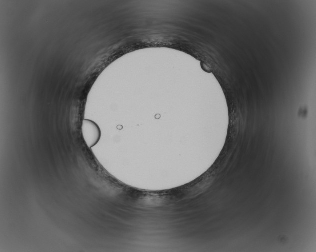 X0000115720416200912241609