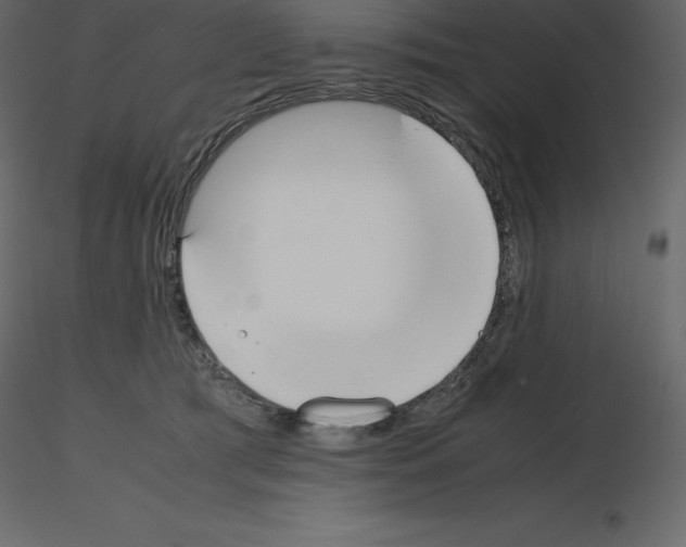 X0000115720417200912241609