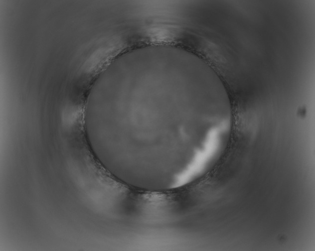 X0000115720419200912241609