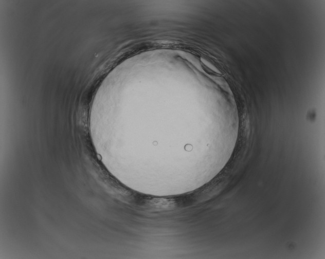 X0000115720421200912241609