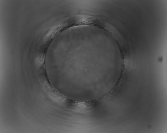 X0000115720423200912241609