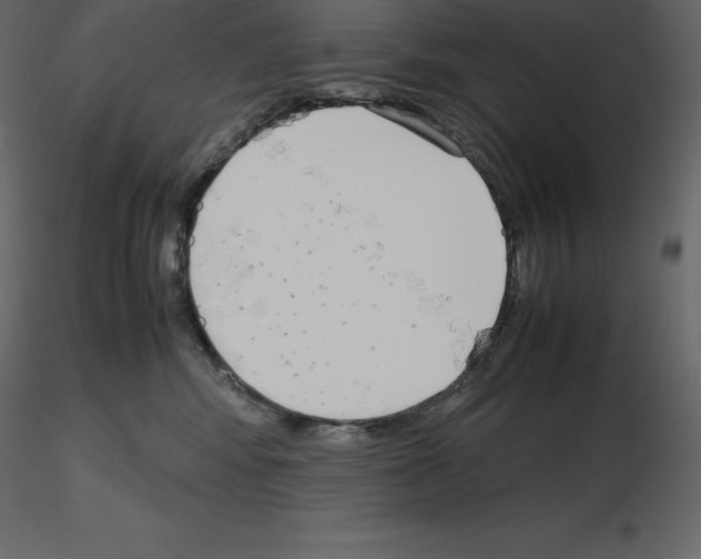 X0000115720424200912241609