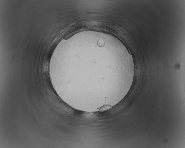 X0000115720425200912241609