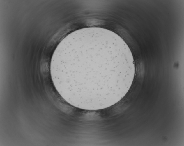 X0000115720426200912241609