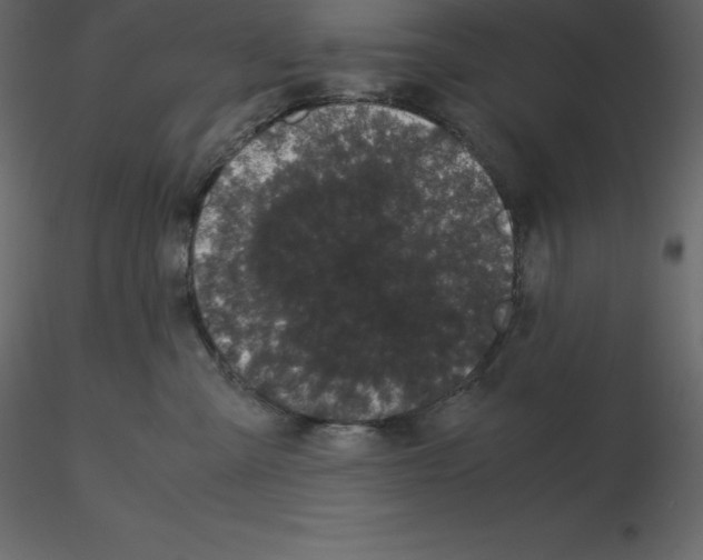 X0000115720427200912241609