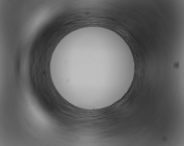 X0000115720429200912241609